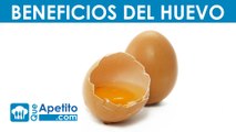 8 propiedades y beneficios del huevo | QueApetito