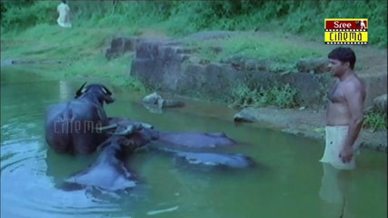 Ponthan Mada | Movie Scene 16 | T. V. Chandran|  Mammootty | Naseeruddin Shah|  Sreejaya | Laboni Sarkar