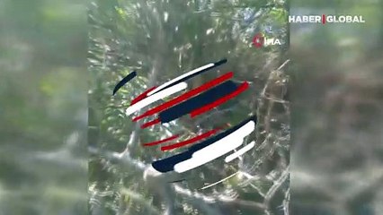 Dünyanın en zehirlilerinden 'koca engerek' Malatya'da görüntülendi