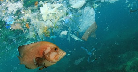 Une étude alarmante démontre que la pollution plastique dans les océans pourrait tripler d'ici 2040