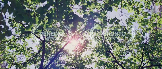 TO THE WONDER | Trailer German HD (2013)