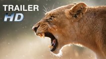 AFRICAN SAFARI 3D | Trailer German HD (2013)