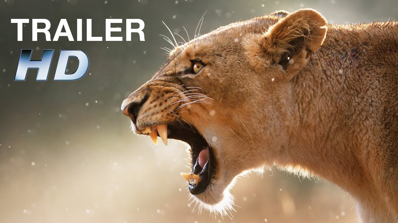 African safari 3d | trailer german hd (2013)