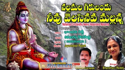 Lord Shiva Telugu Devotional Songs #Nallamala Girulandhu Neevu Velasinava Malana (Siva Bhakthi)