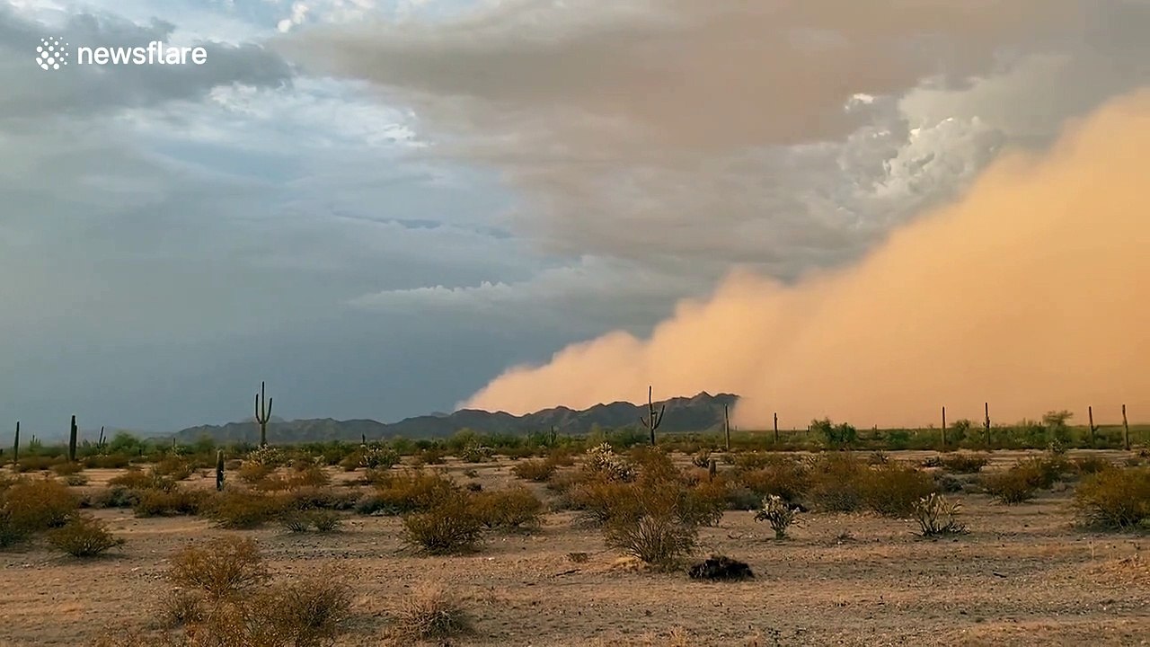 Massive dust storm sweeps across Arizona desert