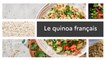 Un produit, un territoire : Tout sur le quinoa de la Mayenne