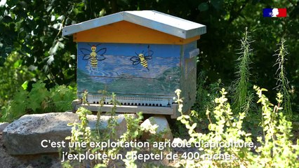 Un produit, un territoire : Tout sur le miel du Gâtinais