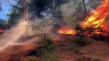 Kozan’da orman yangını