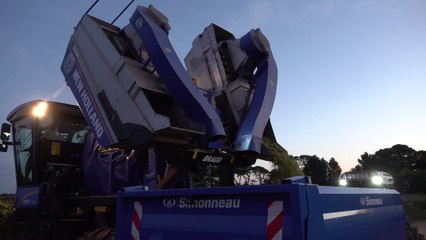 17 août 2020 - Les vendanges à Bessan : c'est parti !