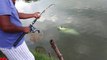 Catla Fishing Videos | Hunting and fishing | Catla Fish Catching by Fishing Rod