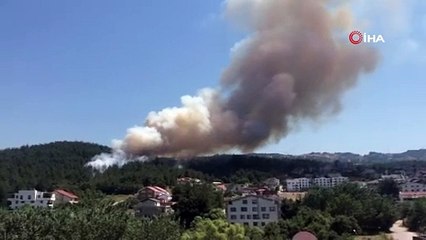 Bursa’da orman yangını...Alevler villalara yaklaşıyor