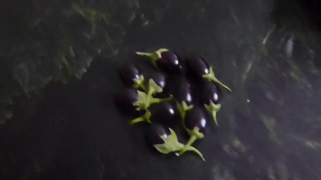 Small Brinjal Bhurta Indian Delicious and Spicy Recipe | छोटे बैंगन का भरता। baingan ka bharta recipe। baingan ka bharta in hindi। chote baingan ka bharta banane ki vidhi