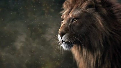 Cadmium X Caravn - Kingdom _ ♫ Copyright Free Music