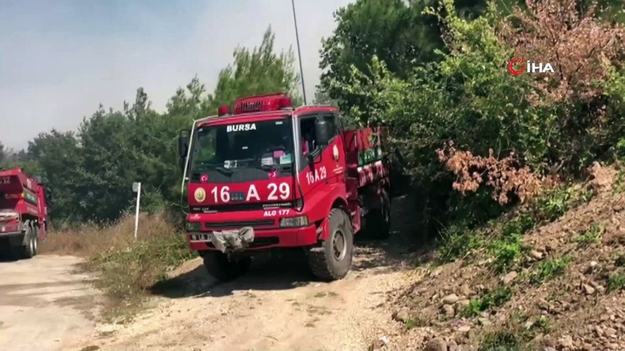 Bursa'da orman yangını...Alevler villalara yaklaşıyor