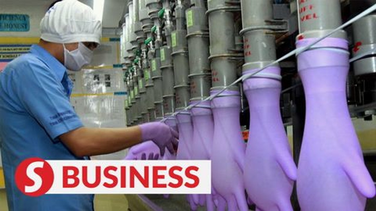 Potential windfall tax levy for glove makers