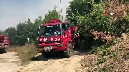 Bursa'da yangın paniği! Yerleşim yerlerine yaklaşıyor