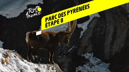 Tour de France 2020 : Étape 8 - Parc national des Pyrénées