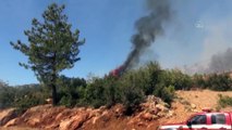 Silifke'de çıkan orman yangını kontrol altına alındı - MERSİN