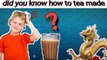 BARBAAD GAMER || AMAZING FACT || HOW TO TEA INVENTED