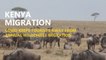 Kenya’s annual wildebeest migration