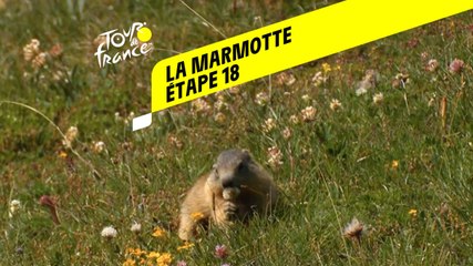 Tour de France 2020 : Étape 18 - La marmotte