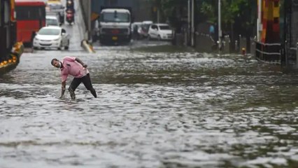 Télécharger la video: Heavy rains lash parts of south & central Gujarat districts