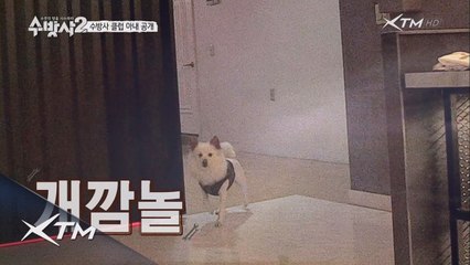 아내 귀환 10분 전 초긴장 상황!