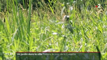 Parc de la Cassette : un havre de paix à Poitiers
