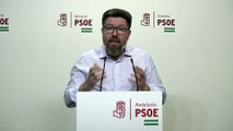 Rodrigo Sánchez Haro condena la situación de la educación en Almería y la inactividad de Moreno Bonilla