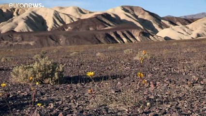 Ρεκόρ θερμοκρασίας στην Κοιλάδα του Θανάτου
