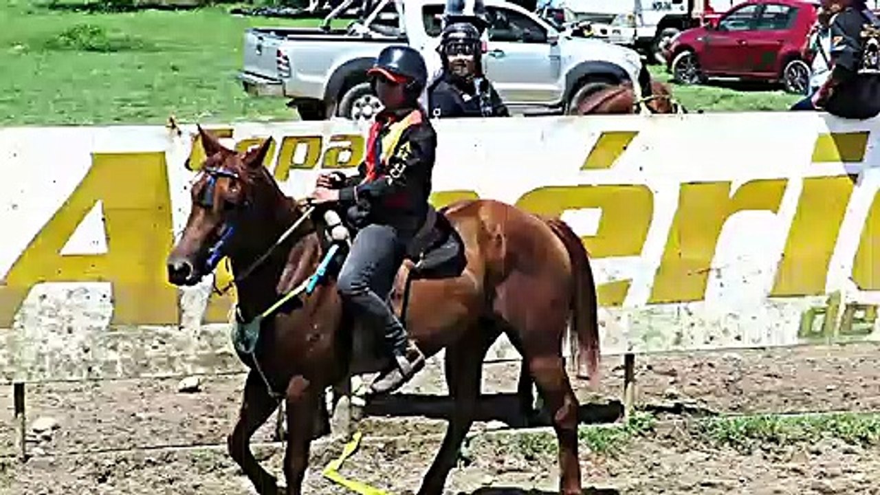 COLEO SUB 14