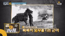 세계 100대 영웅 '레클리스' 그녀의 정체는 말(Horse)?!