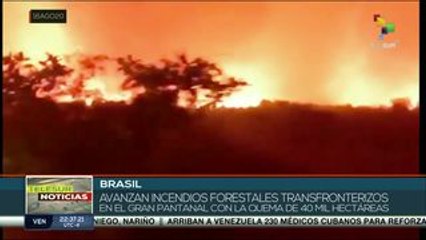 Devasta incendio forestal 40 mil hectáreas del gran pantanal brasileño