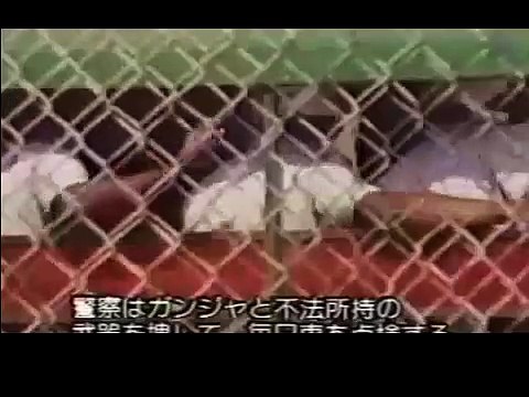 bob marley reggae sunsplash 79 NEW MONTAGE HQ