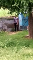 प्रशासन की अनदेखी से लगातार हरे-भरे पेड़ों की हो रही कटाई