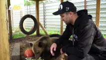 Animal Lover Establishes Wolf Rehab Facility Amid Amid the Pandemic