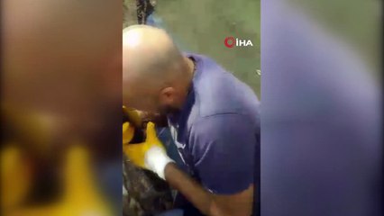 Kanalizasyondaki kediyi kurtarmak için bulduğu çözüm görenleri şaşırttı