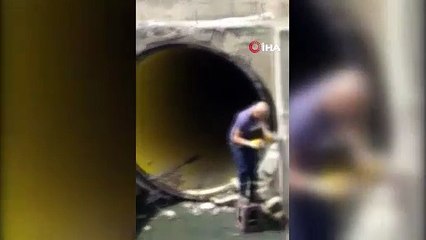 Yavru kediyi kurtarmak için kanalizasyona girdi