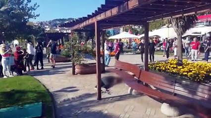 Cezaevinden çıkan babasının katilini öldüren kişi polise teslim oldu - ZONDULDAK