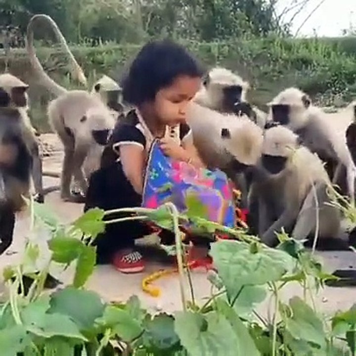 Masum bachi ko bandro ne kaise kia preshan