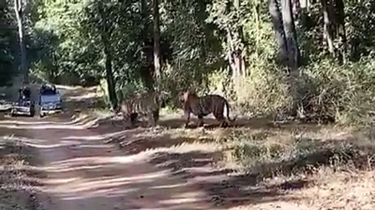 Sikari krte sikar