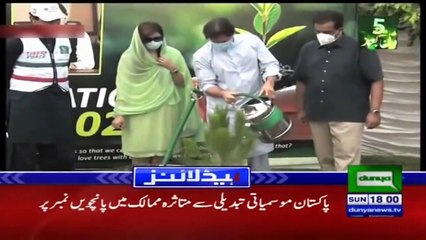 Pakistan : ils déracinent des milliers d'arbres