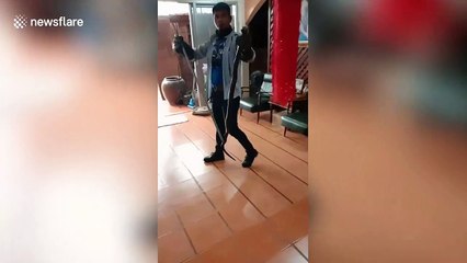 Cobra sparks panic after slithering into family's toilet bowl