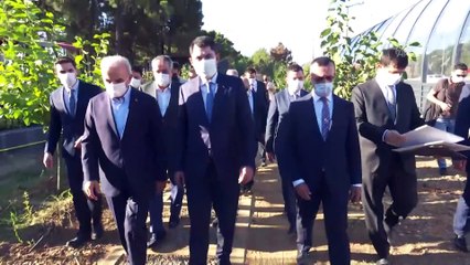 Bakan Kurum, gürültü kirliliğini engelleyen bariyerleri yerinde inceledi - İSTANBUL