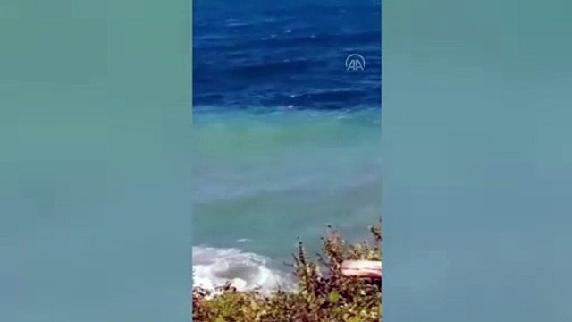 Denizde akıntıya kapılan kişi kurtarıldı - ZONGULDAK