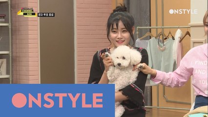 [디지털생중계] 유나의 반려견 ′심장 스틸러′ 쫑이