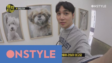 [양태오TV] 애완견 애플이와 함께가는  반려견 전시회