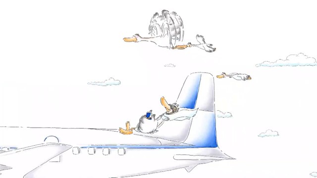 'CLASE BUSINESS', 'DUCK BUSINESS CLASS' - Red Bull te da alas - 2019.