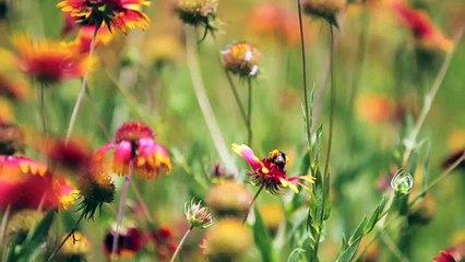 Stop Blocking Your Miracle - Tony Evans Sermon