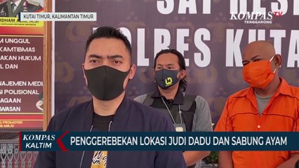Penggrebekan Lokasi Judi Dadu Dan Sabung Ayam